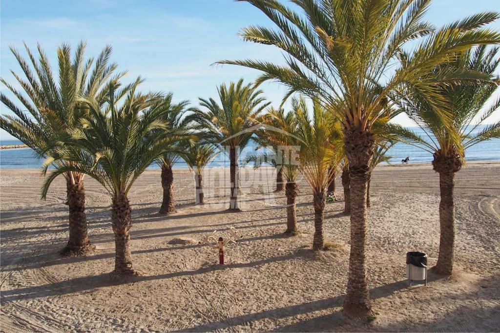 Superbe Appartement Pres De La Plage! Santa Pola Dış mekan fotoğraf